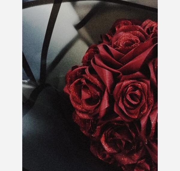 عکس گل روبانی زرشکی