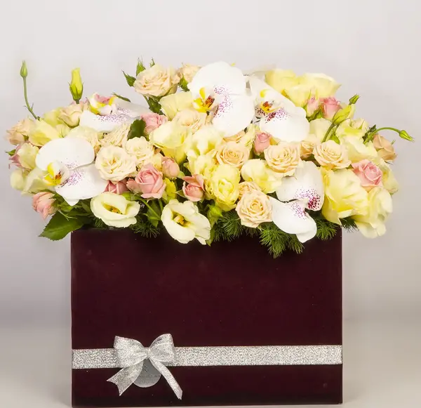 عکس گل روبانی زرشکی