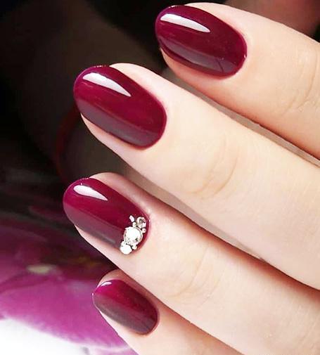عکس کاشت زرشکی