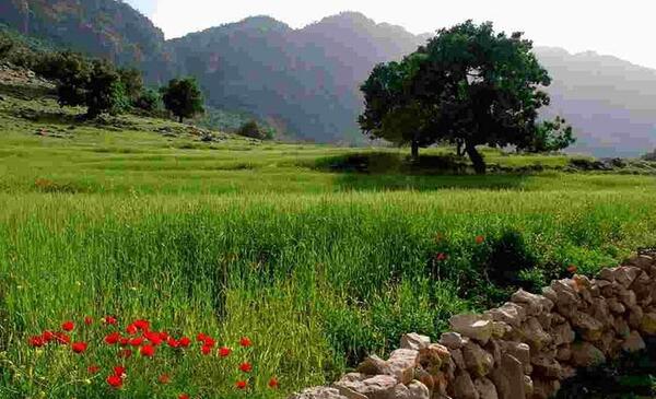 عکس روستای زرشکه بروجرد