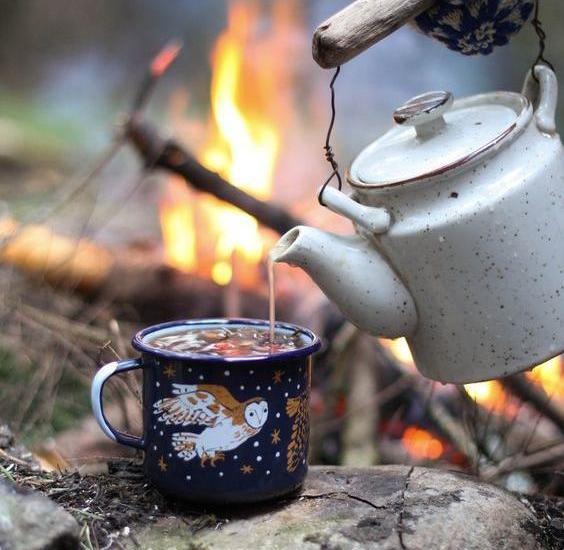 عکس زیبا چایی
