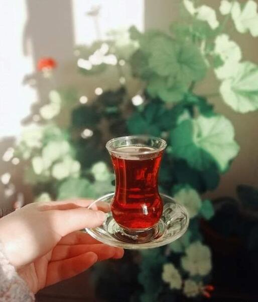 عکس زیبا چایی