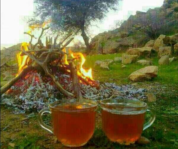 عکس زیبا چایی