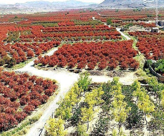 عکس جاده زرشک قزوین