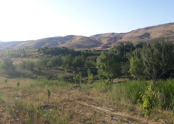 عکس جاده زرشک قزوین