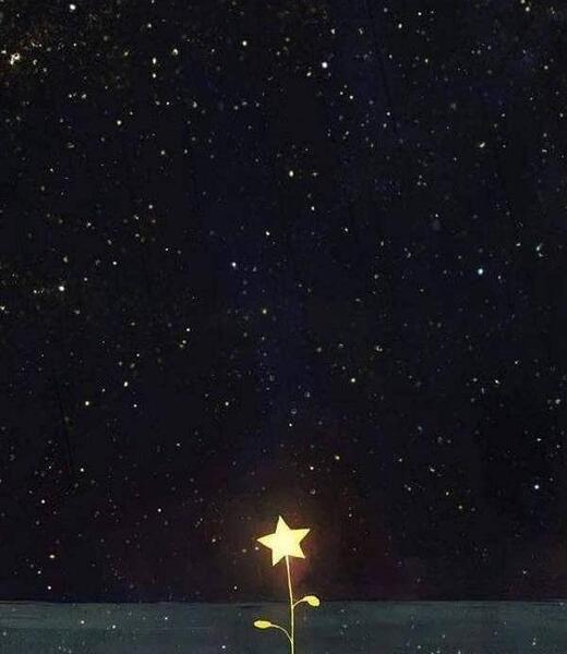 عکس زیبا از ستاره