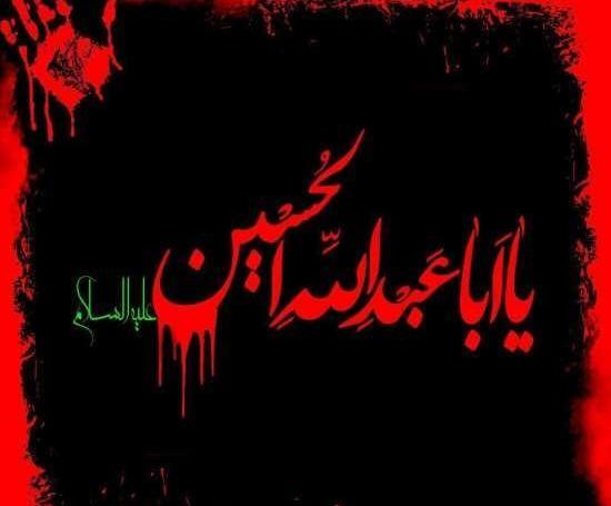 یک عکس زیبا برای محرم