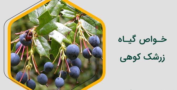 عکس زرشک کوهی لرستان