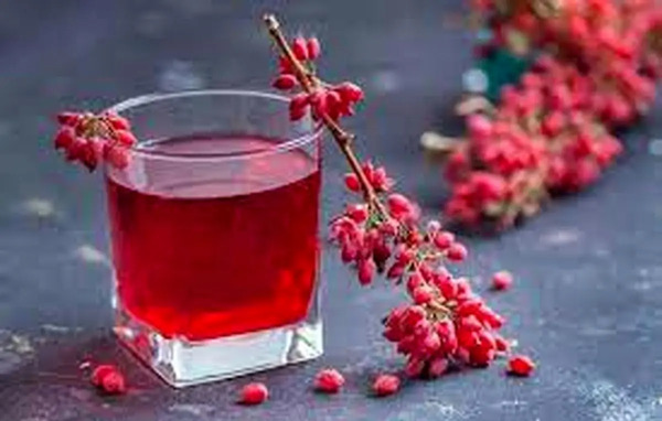 عکس زرشک کوهی لرستان