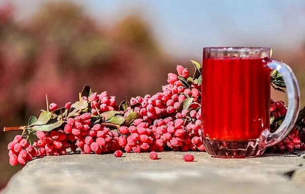 عکس آب زرشک کوهی