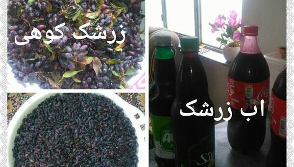 عکس آب زرشک کوهی