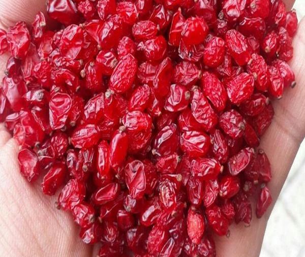 عکس زرشک پفکی اعلا