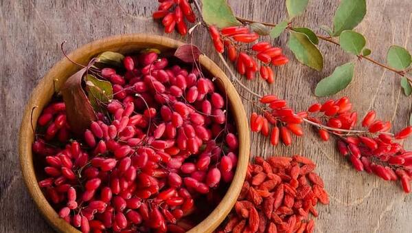 عکس زرشک پفکی اعلا