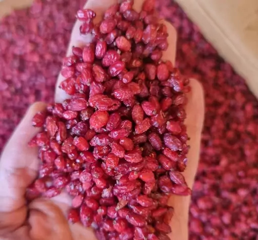 عکس زرشک پفکی اعلا