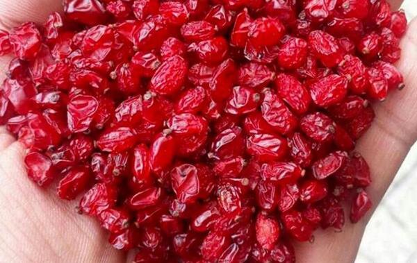 عکس زرشک تازه در مشهد