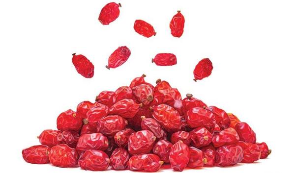 عکس زرشک تازه در مشهد