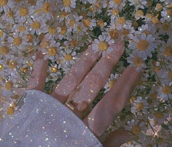عکس گل زیبا کیوت