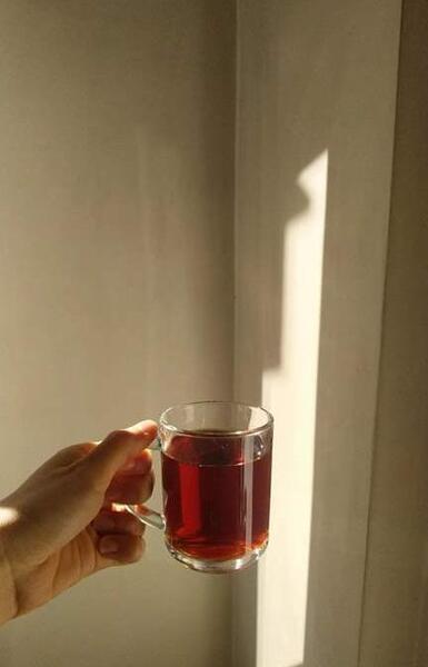 عکس زیبا از فنجان چای