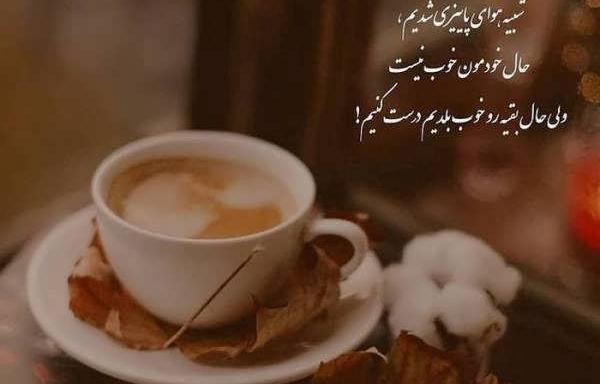 عکس های زیبا از چایی