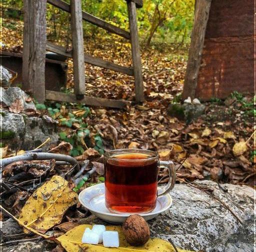 عکس های زیبا از چایی