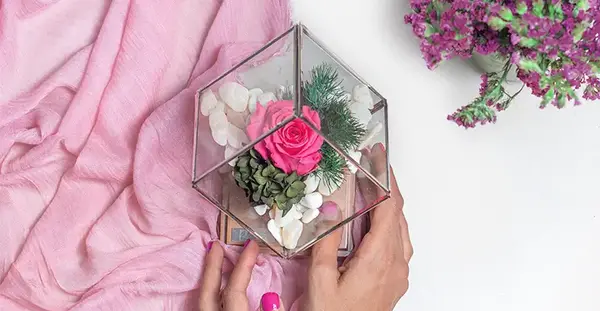 عکس گل رنگین کمانی برای پروفایل