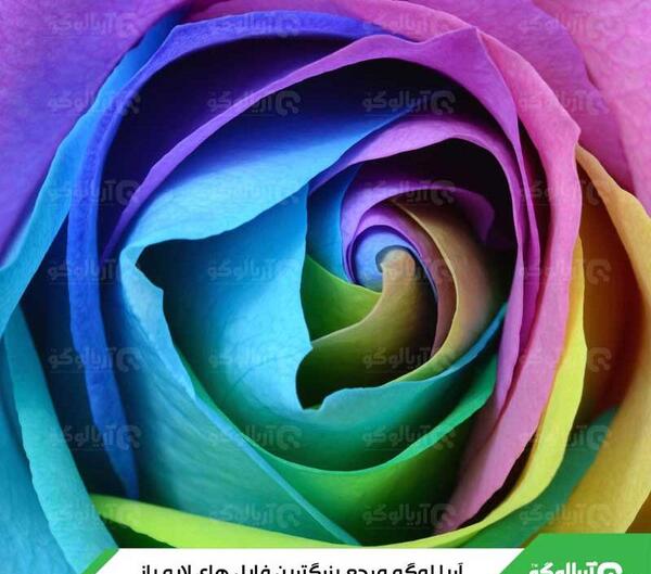 عکس گل های رنگین کمانی