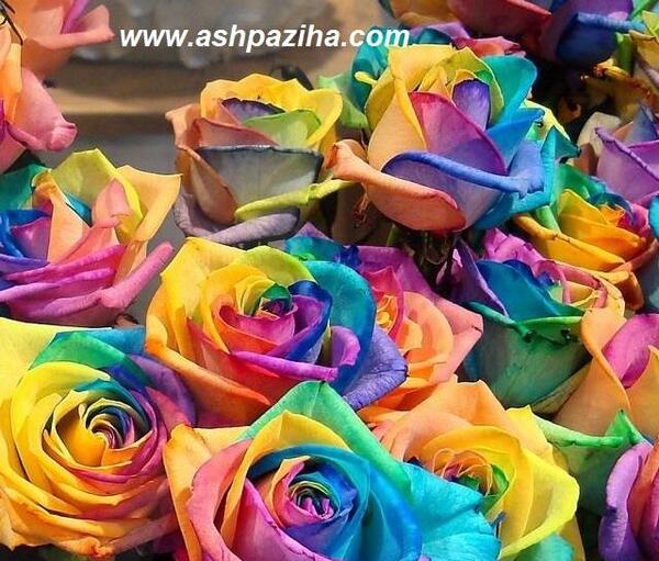 عکس گل های رنگین کمانی