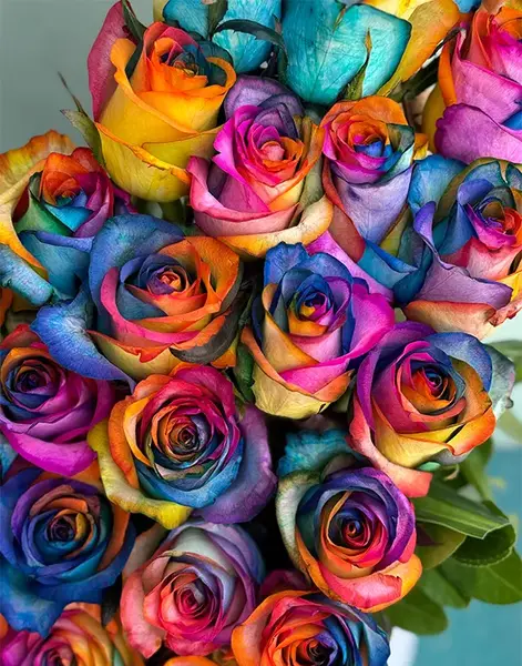 عکس گل های رنگین کمانی