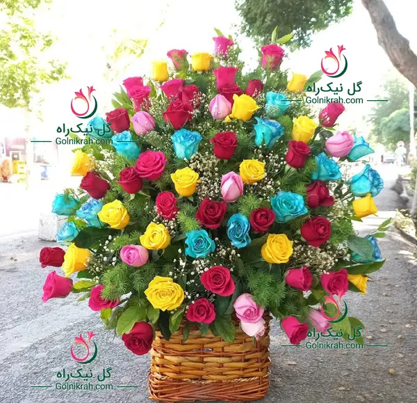 عکس گل های رنگین کمانی