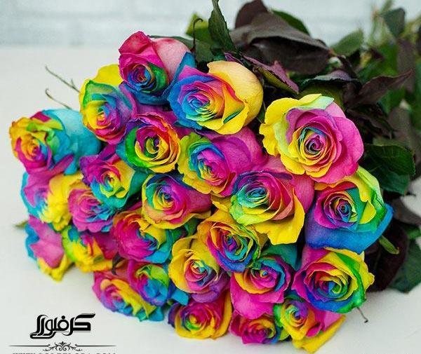 عکس گل های رنگین کمانی