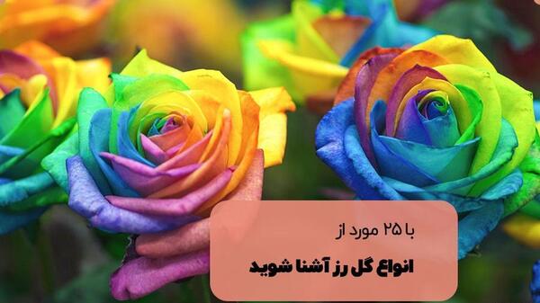 عکس گل های رنگین کمانی