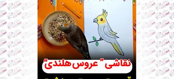 عکس عروس هلندی رنگین کمان