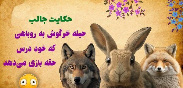عکس های روباه و خرگوش