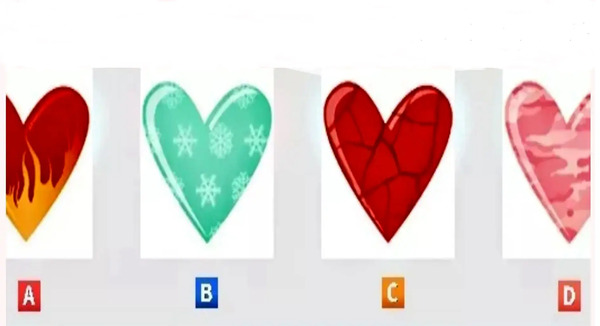 عکس عاشقانه روباه و خرگوش