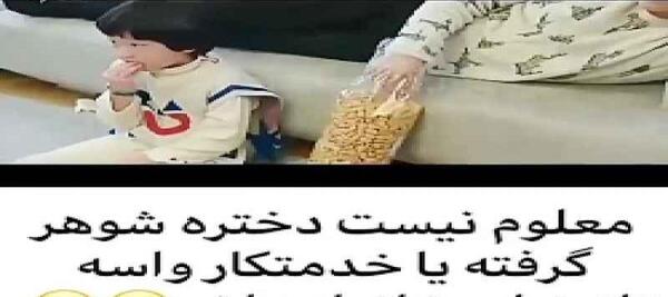 افسانه عکس روباه نه دم واقعی