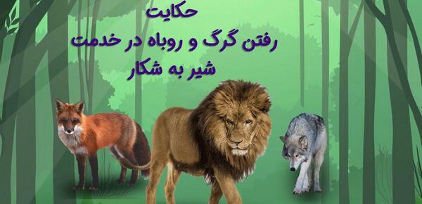 عکس گرگ و روباه با هم