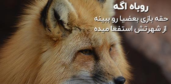 عکس نوشته ادم روباه صفت