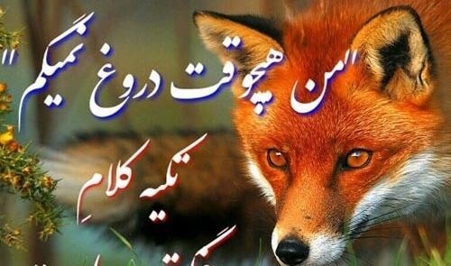 عکس نوشته ادم روباه صفت