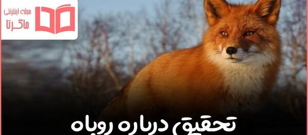 عکس نوشته ادم روباه صفت