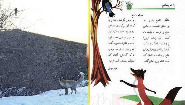 عکس معنی شعر روباه و زاغ