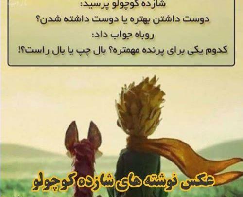 عکس نوشته های روباه و شازده کوچولو