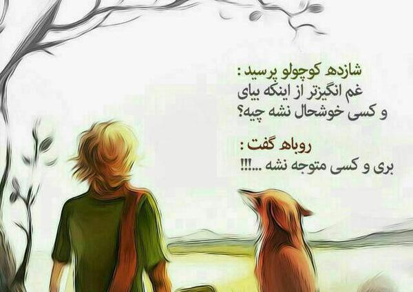 عکس های شازده کوچولو و روباه