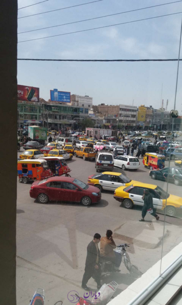 عکس شیر یخ افغانستان