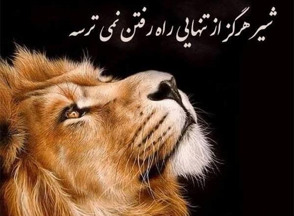 عکس پروفایل شیر سفید