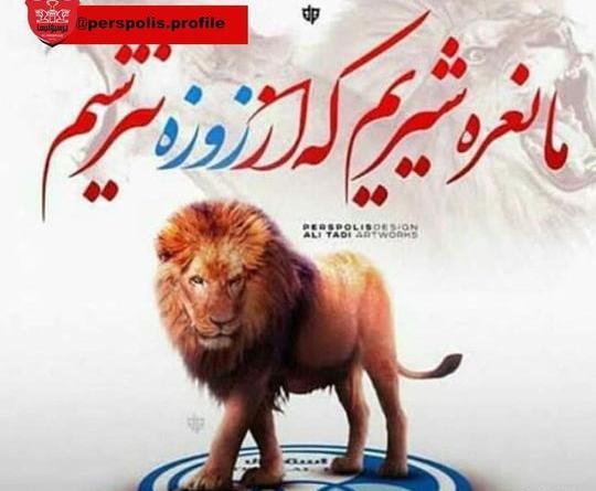 عکس شیر پرسپولیسی خفن