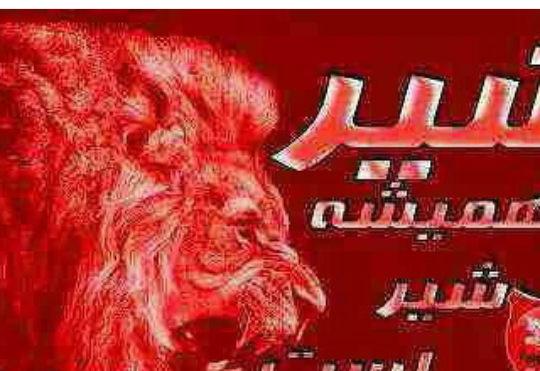 دانلود عکس شیر پرسپولیسی