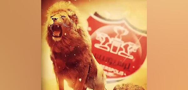 دانلود عکس شیر پرسپولیسی