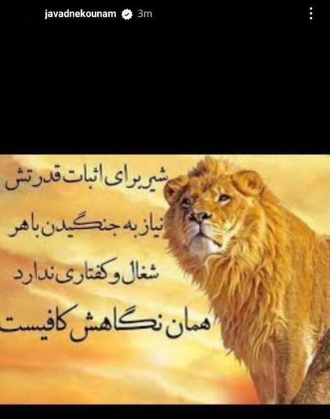 دانلود عکس شیر پرسپولیسی