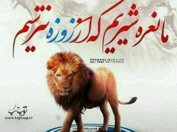 عکس های شیر پرسپولیسی
