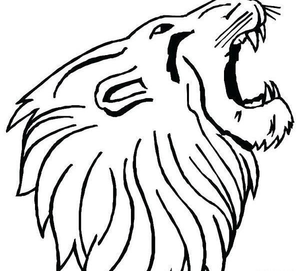 عکس شیر ترسناک واقعی